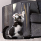 Cat Scratch Furniture Protector 18x12" (45x30cm)